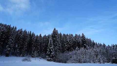 32. Prześladowania i przeciwności losu pomogły mi dorosnąć