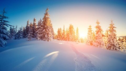 95. Ślubowanie życia w pobożności