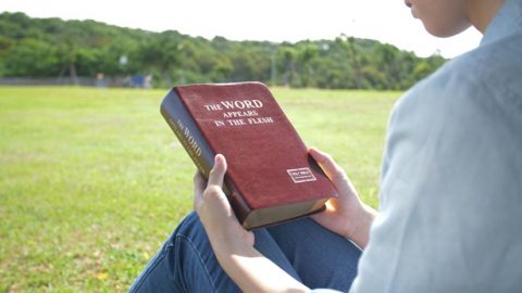 „Gołąb pocztowy” przynosi przełomowe wieści